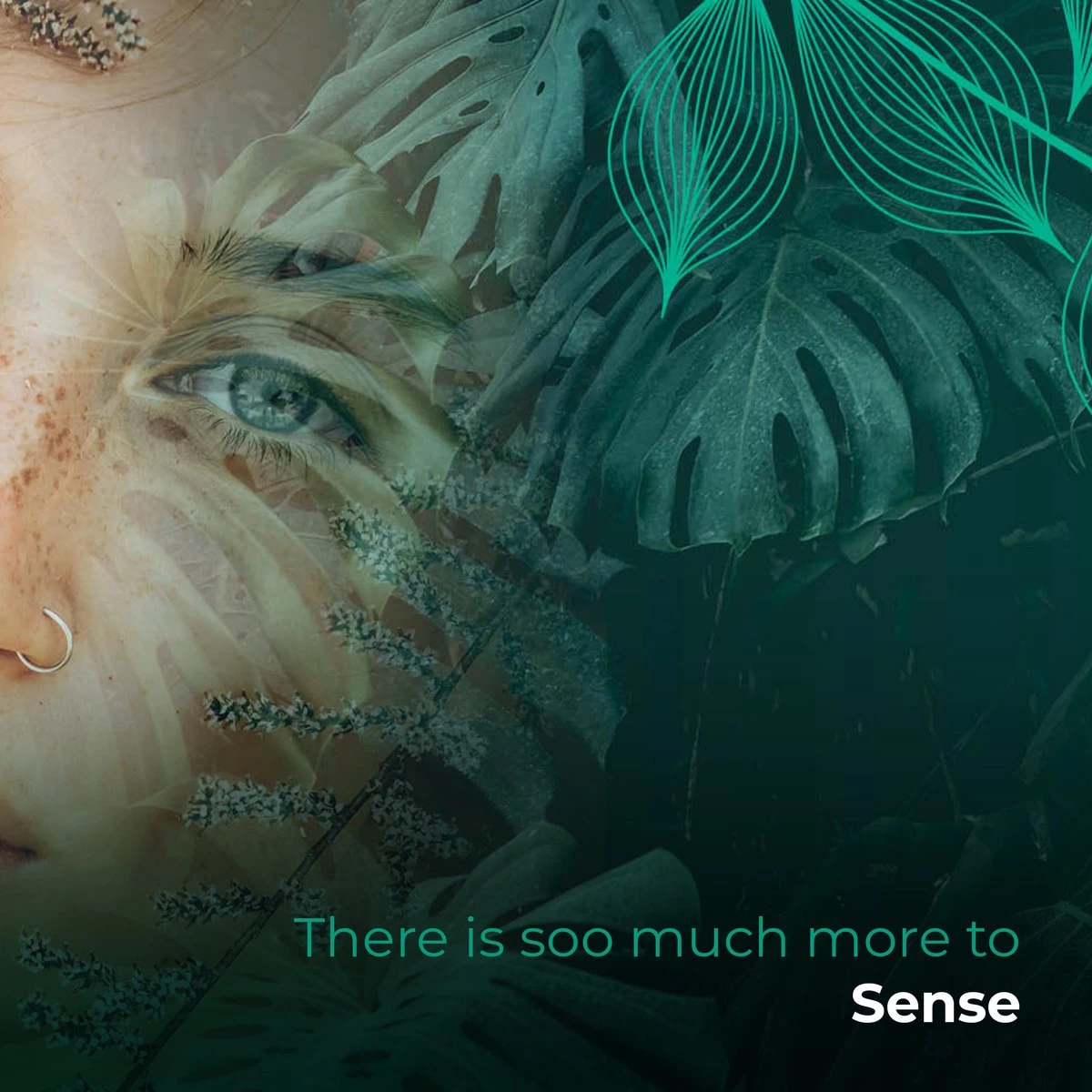 Soolong Sense Oost Timor Nr1000 Koffiebonen Smooth Lacau - Speciality Koffie Arabica Medium Roast Met Rijke Kruidige Smaak Met Heerlijke Ondertonen Van Karamel - Zak 250gram - Afbeelding 2